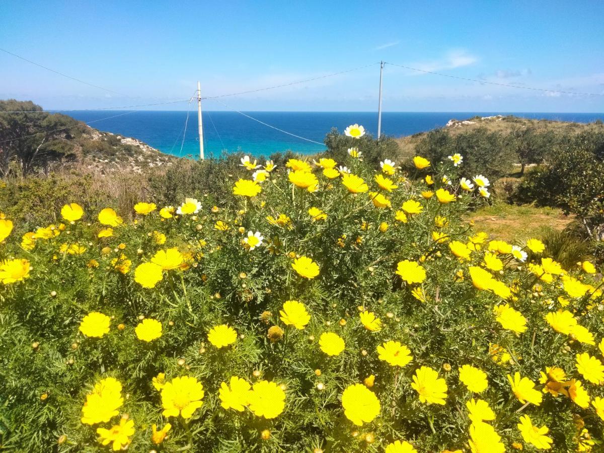 Cala Rossa 호텔 카스텔라마레델골포 외부 사진